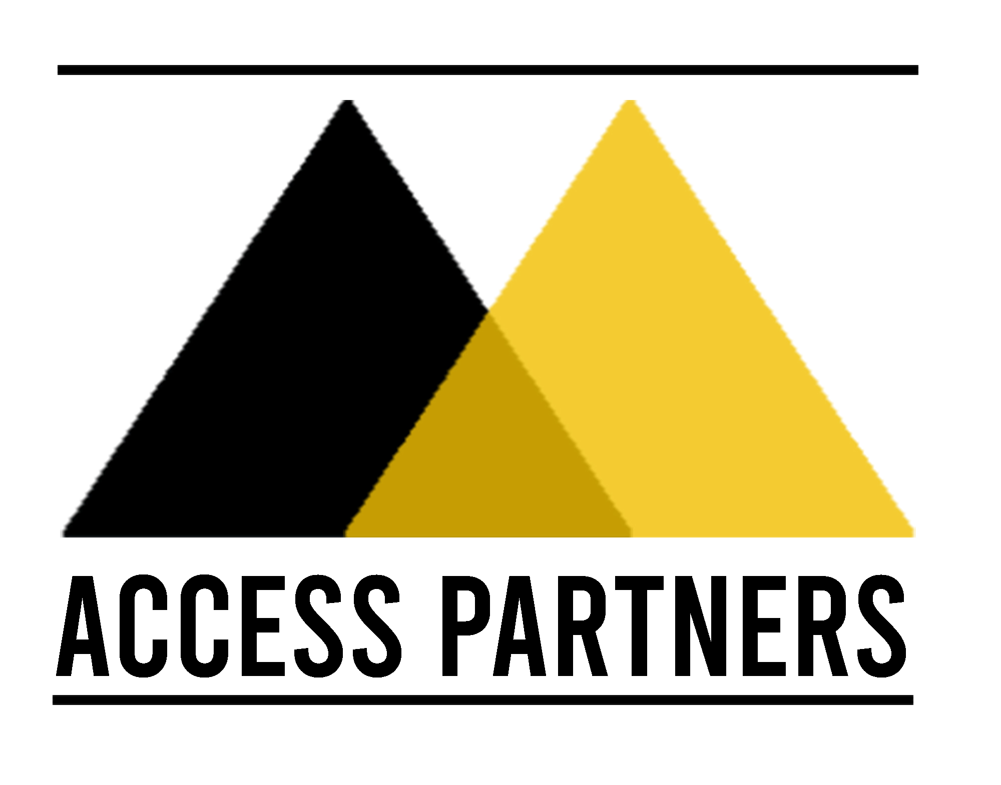 ACCESS PARTNERS